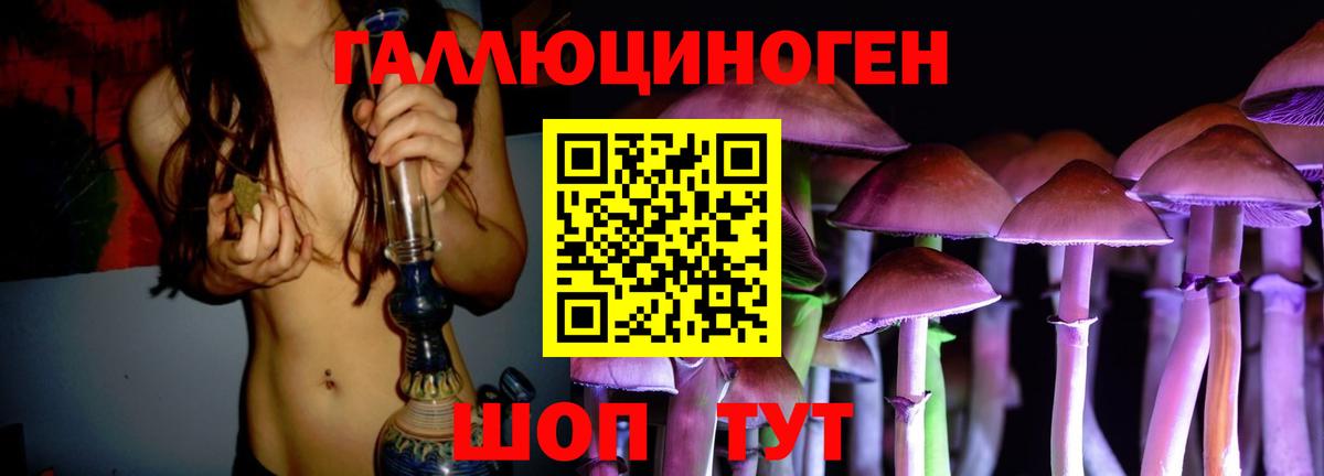 Галлюциногенные грибы Psilocybine cubensis  Вход с VPN  Кимовск 